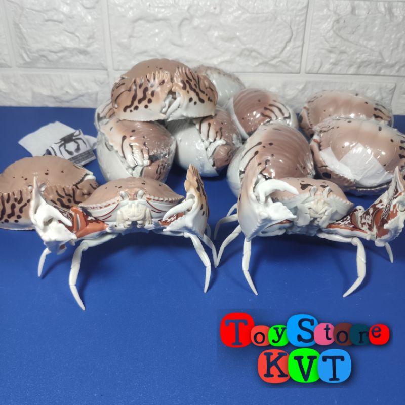 Mô Hình Gachapon Cua Hộp Sọc đỏ Red-streaked Box Crab (Dango Mushi 06 by Bandai)