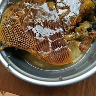 Mật ong hoa cà phê 100%_1000ml