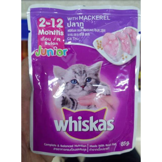 Dụng Cụ Đựng Thức Ăn Cho Mèo 2-12 Tháng 85gr