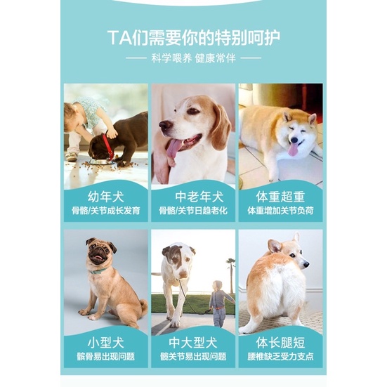 Vitamin Nourse 05 hỗ trợ xương khớp tái tạo sụn khớp cho chó NourseVietnam VN05