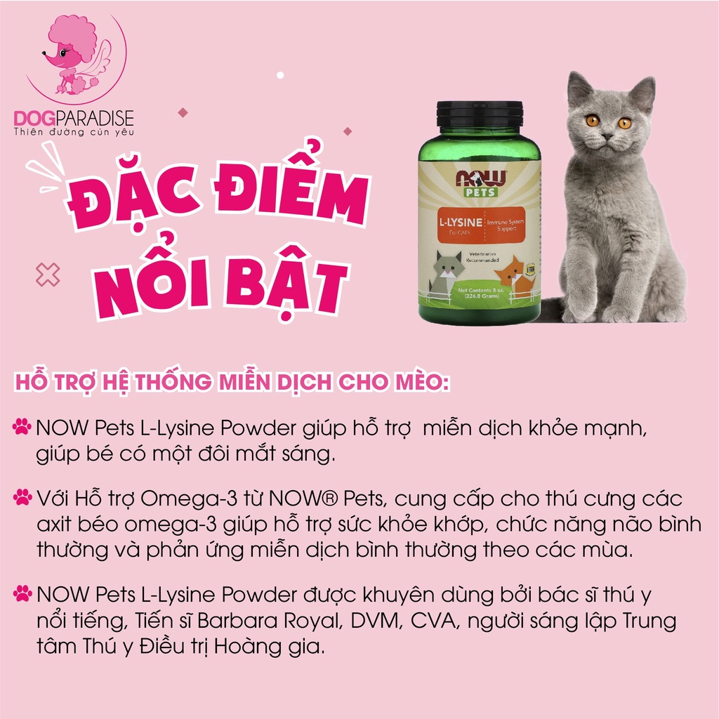 Bột L- Lysine tăng sức đề kháng hỗ trợ miễn dịch hô hấp cho mèo Now Pet - Dog Paradise