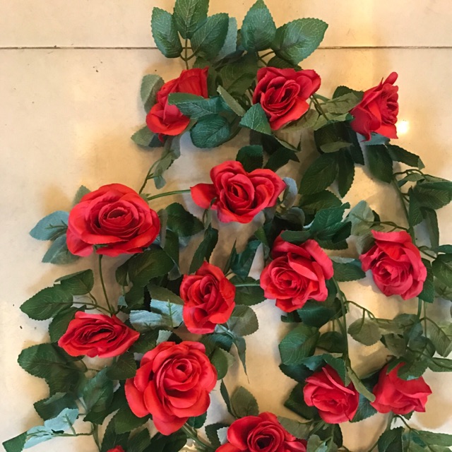 Dây hoa hồng màu đỏ