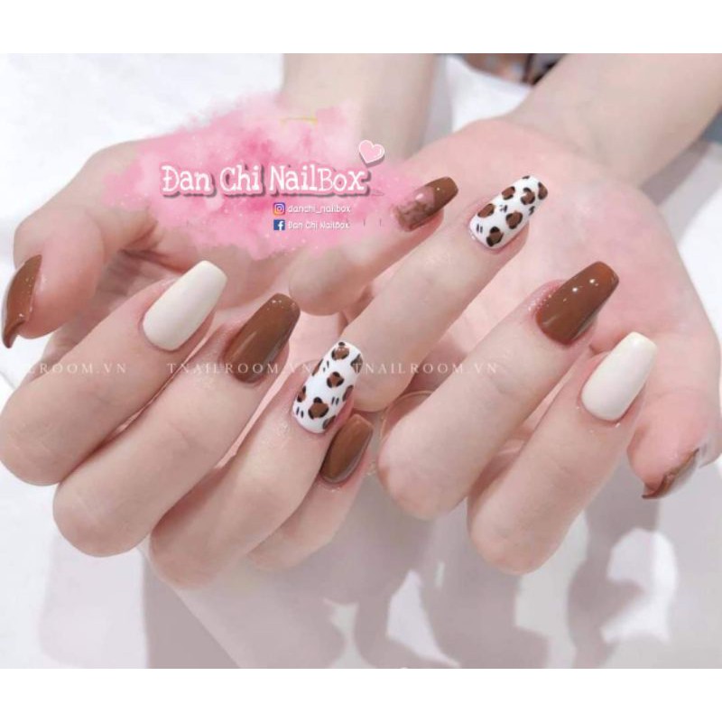 NailBox móng úp thiết kế sẵn Mẫu Nâu Beo