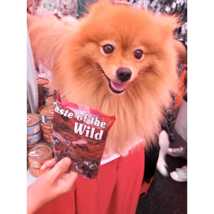 Thức Ăn Cho Chó Poodle Taste Of The Wild Bao 2kg -  Southwest Canyon Thịt Heo Rừng, Trái Cây Rau Củ Quả