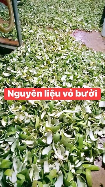 Tinh Dầu Bưởi Dưỡng Tóc Thuỷ Mộc Dạng Xịt Ngăn Rụng Tóc Kích Mọc Tóc Dài Dùng Được Cho Người Ít Tóc Hói Đầu | BigBuy360 - bigbuy360.vn