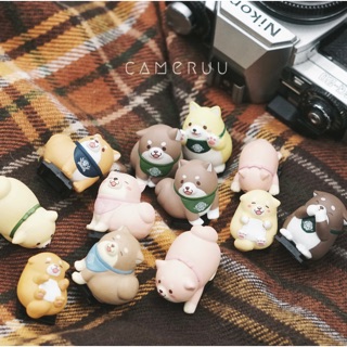 Hotshoe cover cho máy ảnh Cún Shiba