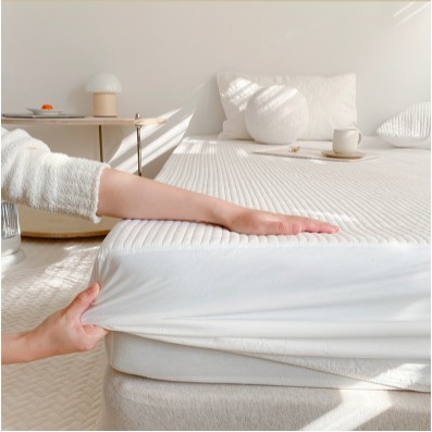 Ga Trải Giường Trần Bông Bo Chun Hàn Quốc Hàng Cao Cấp