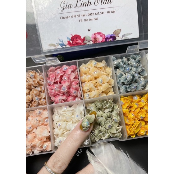 Hoa bột nail góc trai cao cấp ( set 10 bông )