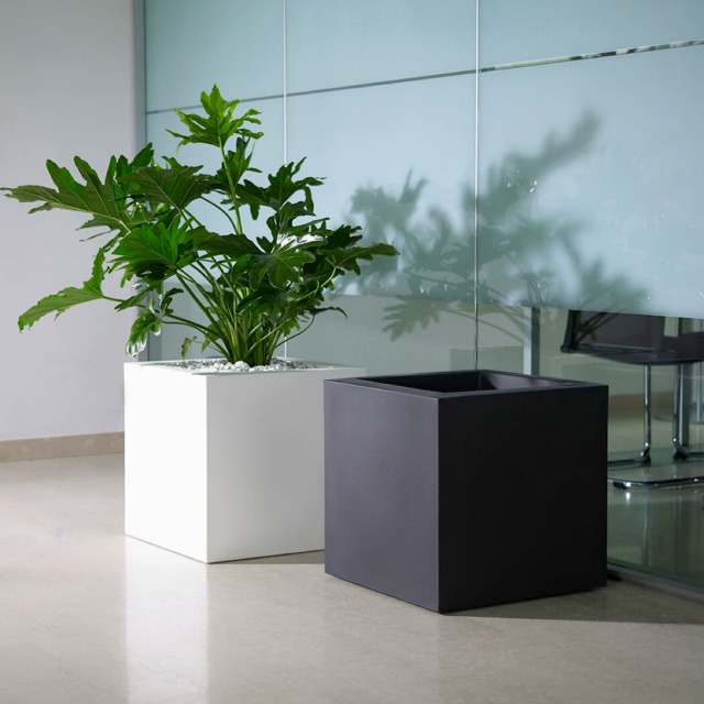 Chậu nhựa composite vuông trang trí ban công