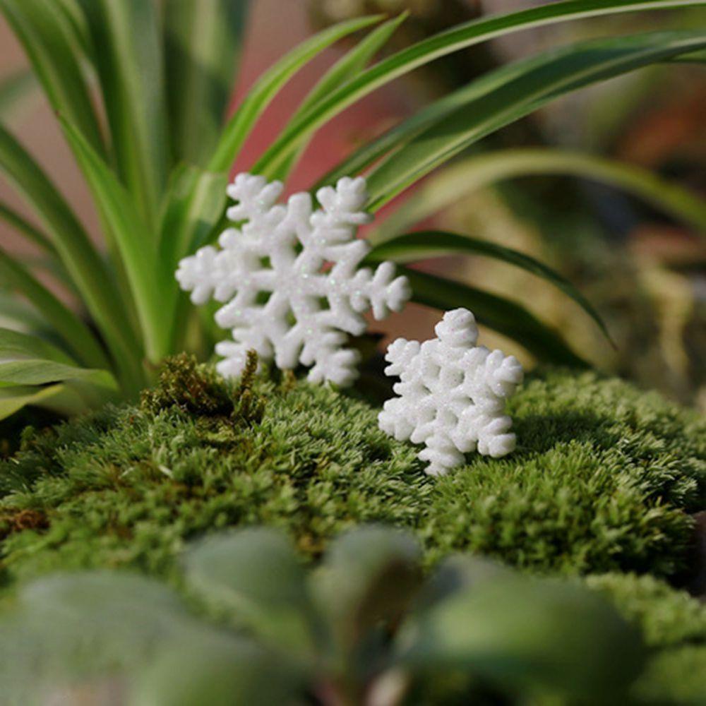 CONOPERY Bộ 10 Bông Tuyết Bằng Nhựa Dùng Trang Trí Phong Cảnh Độc Đáo