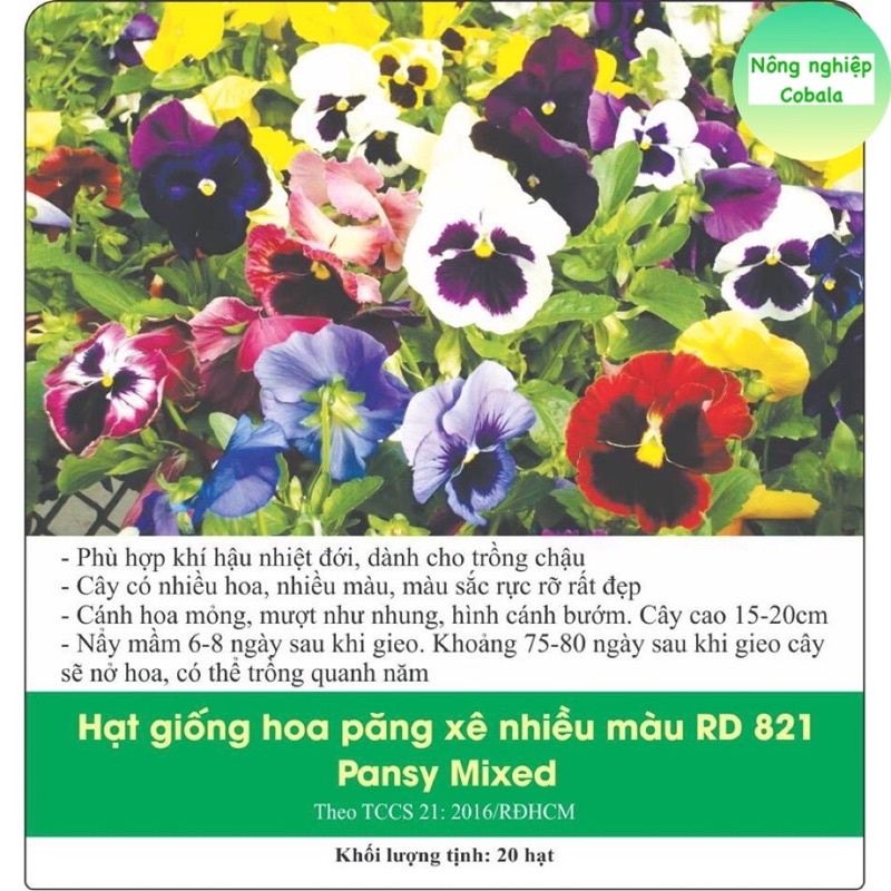 Hạt Giống Hoa Pansy Mix Nhiều Màu Gói (0.03gr)