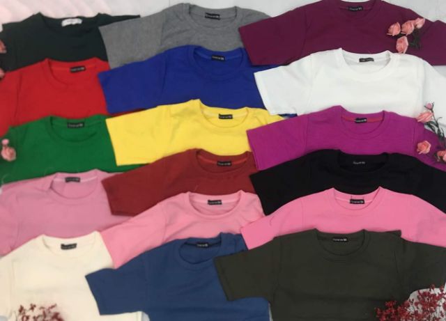 ÁO THUN GÂN BODY TAY NGẮN/TAY LỬNG | BigBuy360 - bigbuy360.vn