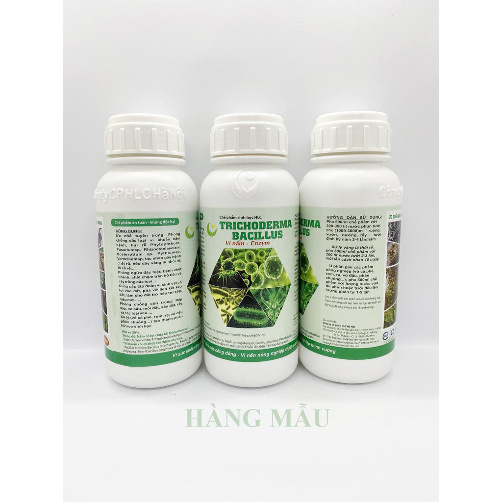 Vi nấm đối kháng TRICHODERMA BACILLUS HLC