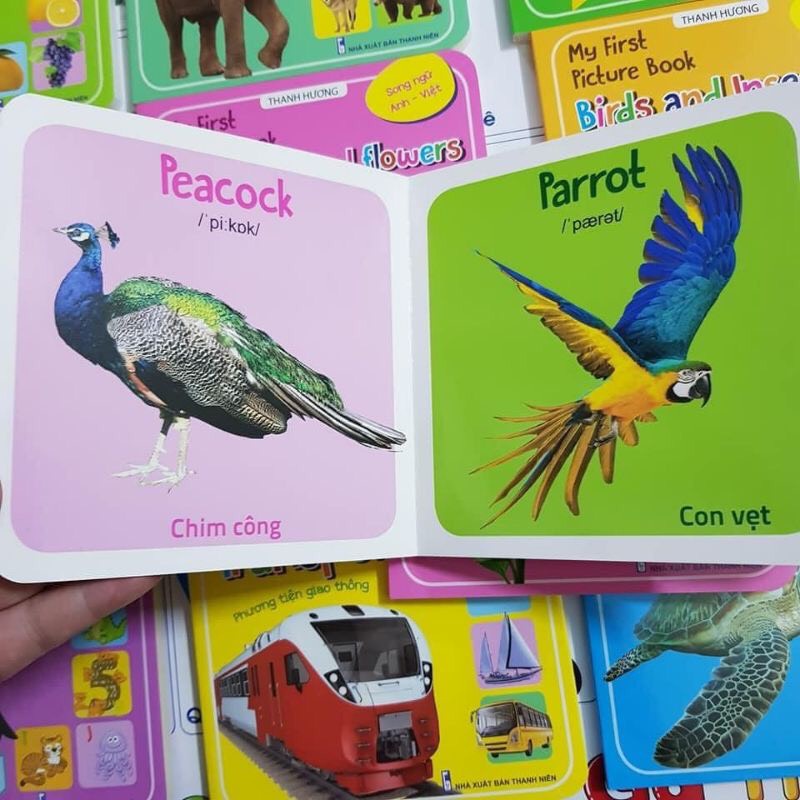 Sách - My First Picture Book - Bộ 10 Cuốn Thư Viện Hình Ảnh Đầu Tiên Cho Bé