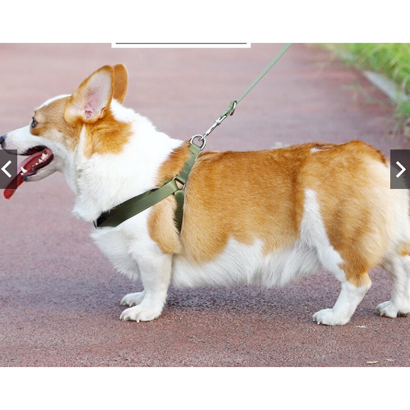 Dây dắt Yếm Police Phản Quang cho chó/ vòng cổ POLICE/ VÒNG CỔ CẢNH SÁT