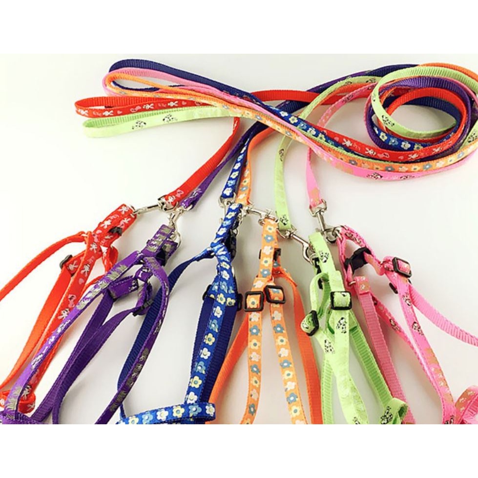 DÂY DẮT KÈM YẾM CHO CHÓ SIZE 1.5CM ZICHEN