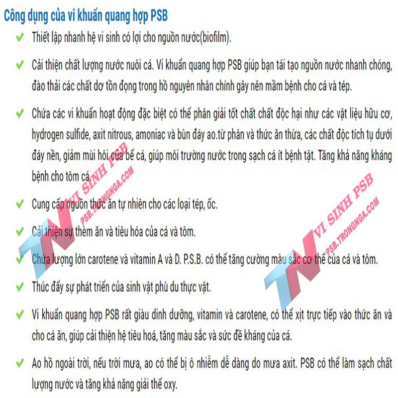 COMBO mua 5 chai tặng kèm 1 chai Vi sinh PSB - Vi khuẩn quang hợp chai 350ml