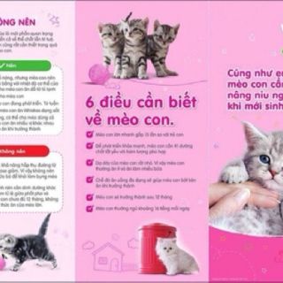 Pate whiskas cho mèo gói 85gr