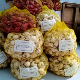 Chỉ 80k - combo 1kg tỏi + hành lý sơn 100%