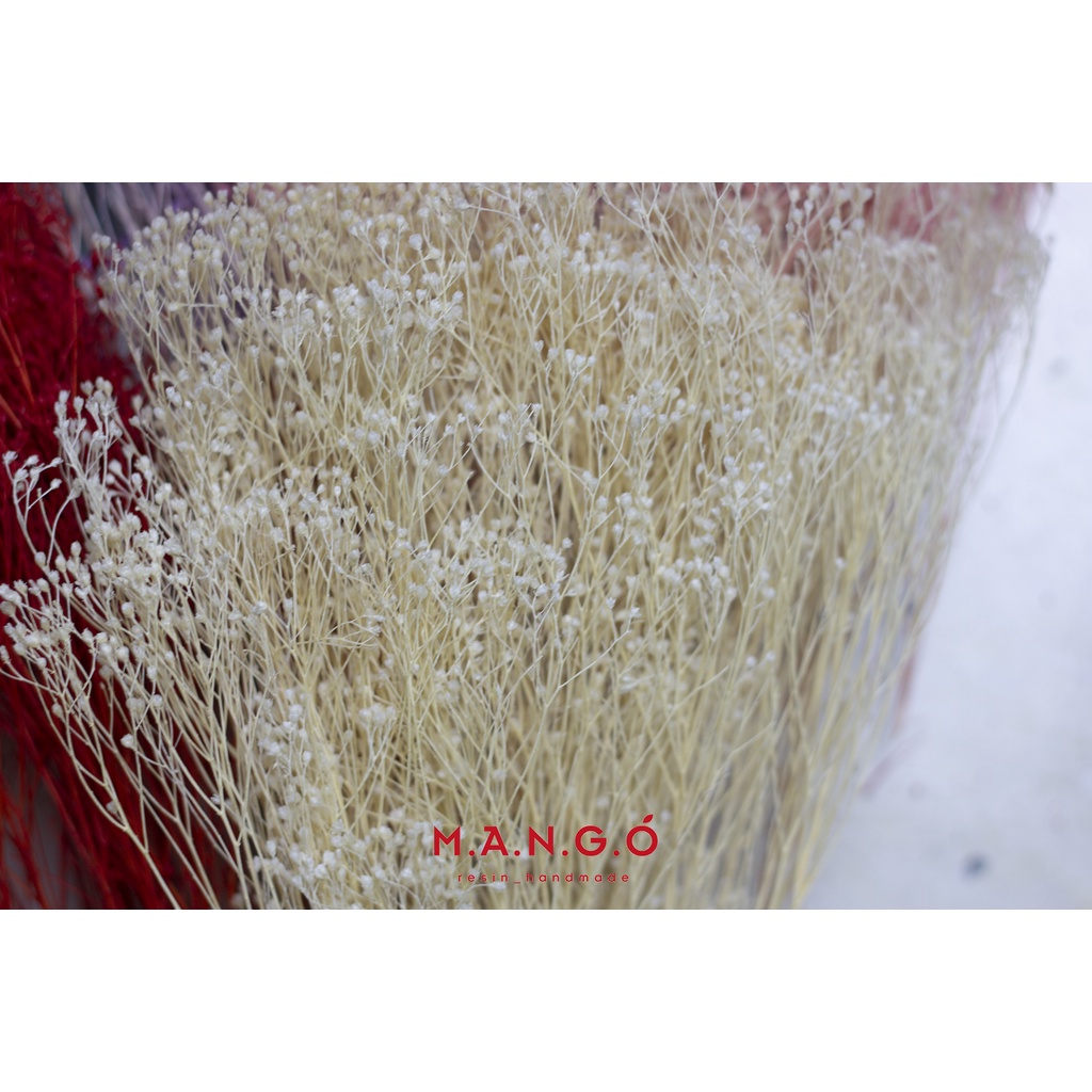 Hoa bloom khô trang trí resin, thiệp, nến thơm, handmade