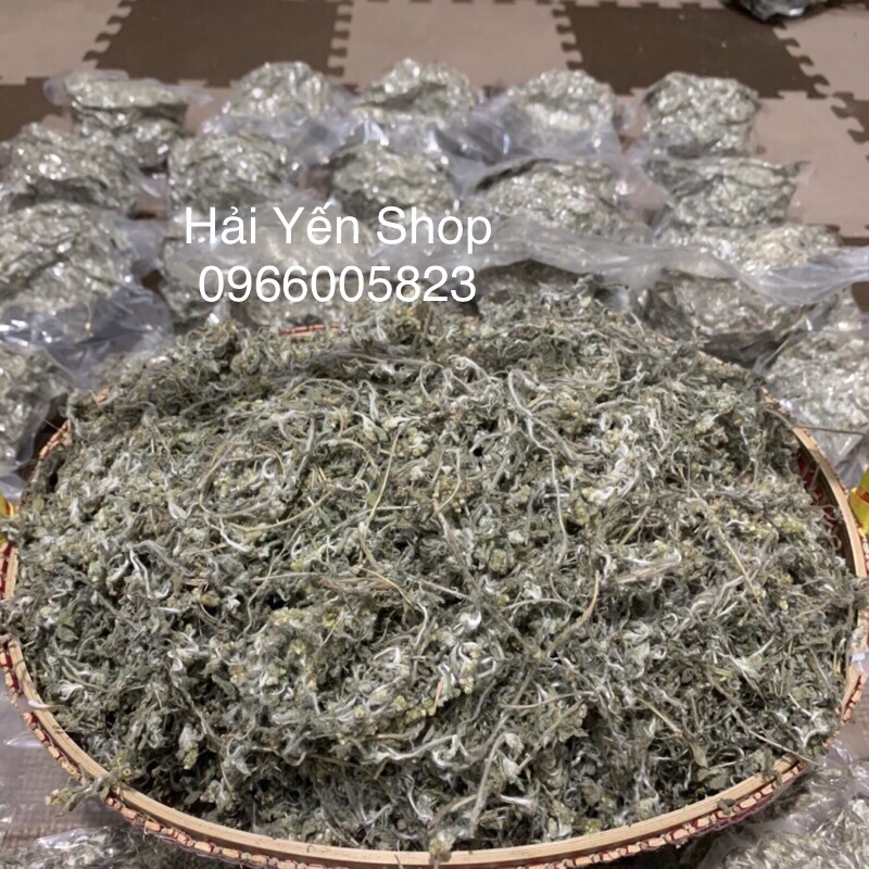 cây Rau Khúc tươi_khô_cây giống
