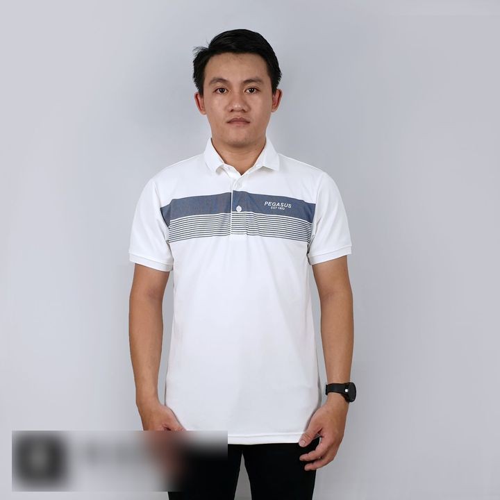 Áo thun nam có cổ POLO PEGASUS PG101 3M - Vải cotton lạnh đẹp, form basic thoải mái THE BASIC STORE | BigBuy360 - bigbuy360.vn