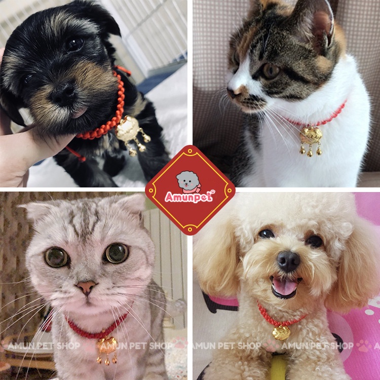 Vòng Cổ Trường Thọ Cho Chó Mèo Siêu Đẹp Mẫu Vòng Cổ Mặt Khoá Trường Mệnh Giá Rẻ Cho Thú Cưng Amun Pet