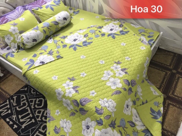 trọn bộ ga chun Chăn Hè cotton Poly 5 món -> được chọn mẫu /size | BigBuy360 - bigbuy360.vn