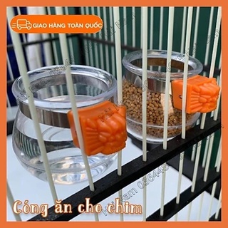 Cóng ăn uống cho chim