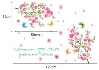 Decal cành đào đón tết