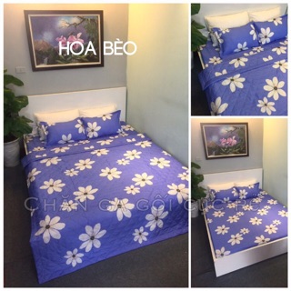 [Freeship khách  HCM & HN] Chăn hè poly trần bông
