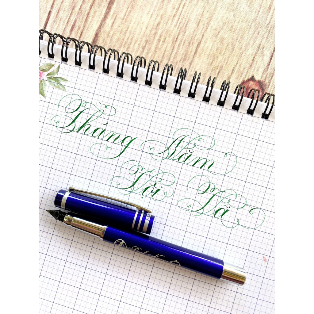 Bút máy luyện chữ đẹp nét thanh đậm ngòi Thép Bình Nguyên 6100