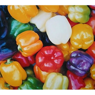 Hạt Giống Ớt Chuông Mix Nhiều Màu (25 Hạt) - [MUA 3 TẶNG 1 CÙNG LOẠI] - Giàu Dinh Dưỡng , Năng Suất Cao