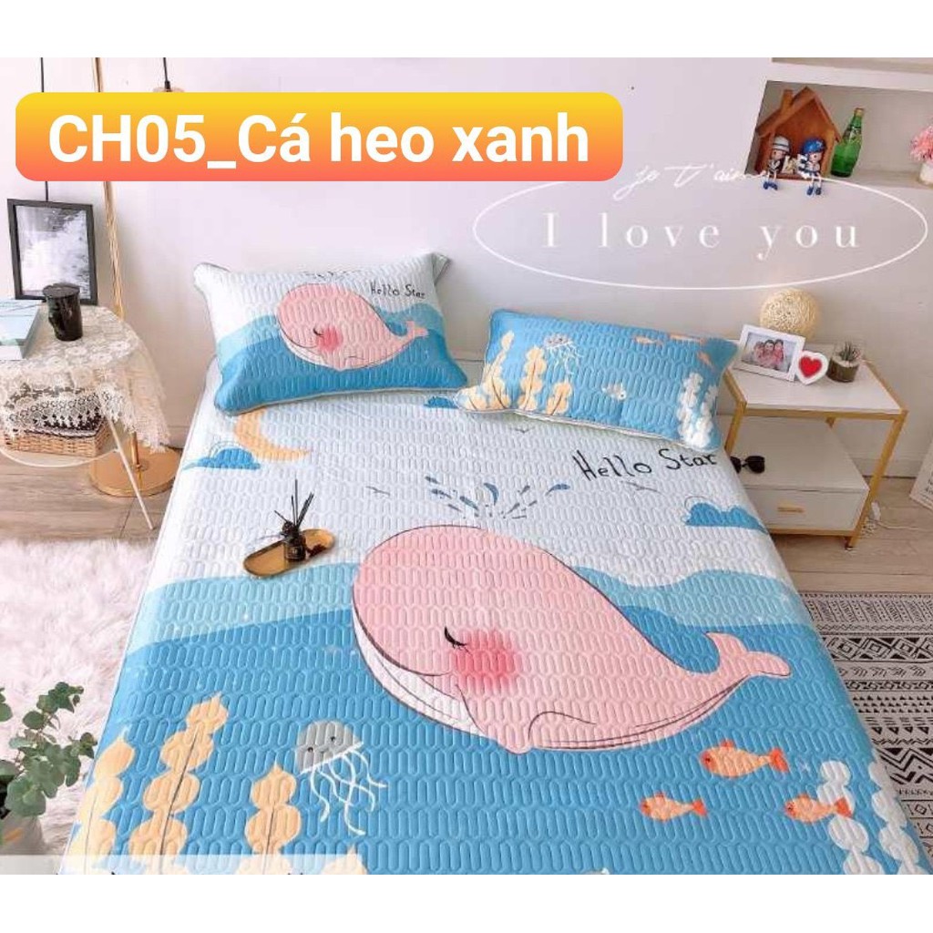 Chiếu điều hòa chiếu cao su non Boss Decor mềm mịn