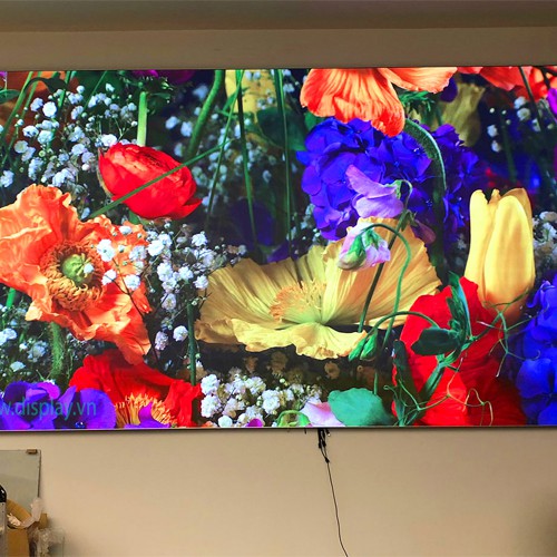 Màn Hình LED P2.5 Trong Nhà