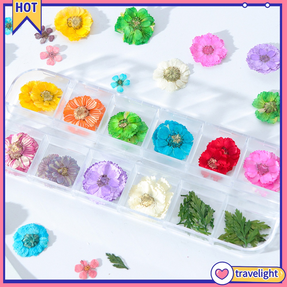 (Travelight) Hộp phụ kiện hoa khô trang trí móng tay