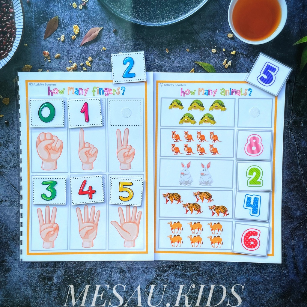 Học Liệu Bóc Dán Montessori MESAUKIDS Đồ Chơi Giáo Dục Đồ Chơi Phát Triển Trí Tuệ Thông Minh Cho Bé Nhiều Chủ Đề