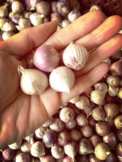 1kg Tỏi cô đơn