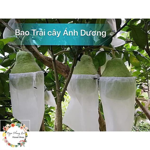 SET 10 Túi bọc trái cây Size 18x18cm 30x30cm 30x35cm 45x60cm bằng vải không dệt - Chuyên dùng túi bao đủ loại trái cây