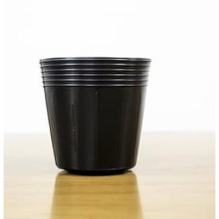 LY NHỰA LỢI DÂN TRỒNG CÂY GIÁ TỪ 1000Đ