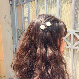 Kẹp tóc hoa cúc