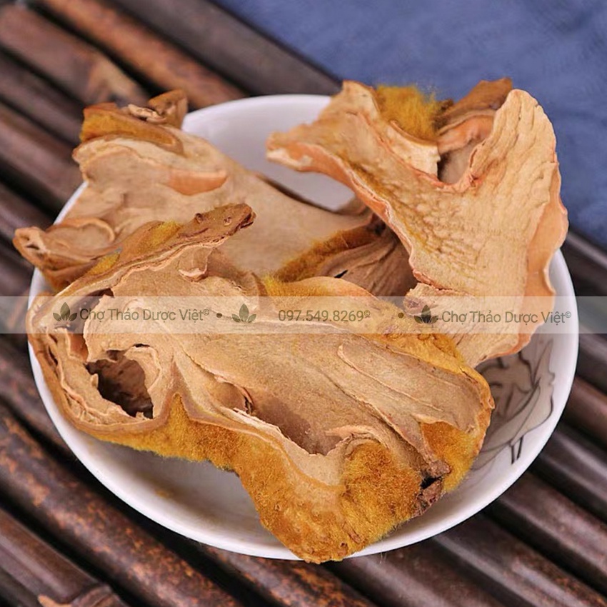 Cẩu tích, cây lông culi khô 1kg mạnh gân cốt, tăng cường sức khỏe phái mạnh - Chợ Thảo Dược Việt