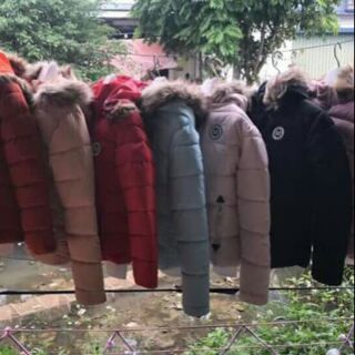 Compo 510k