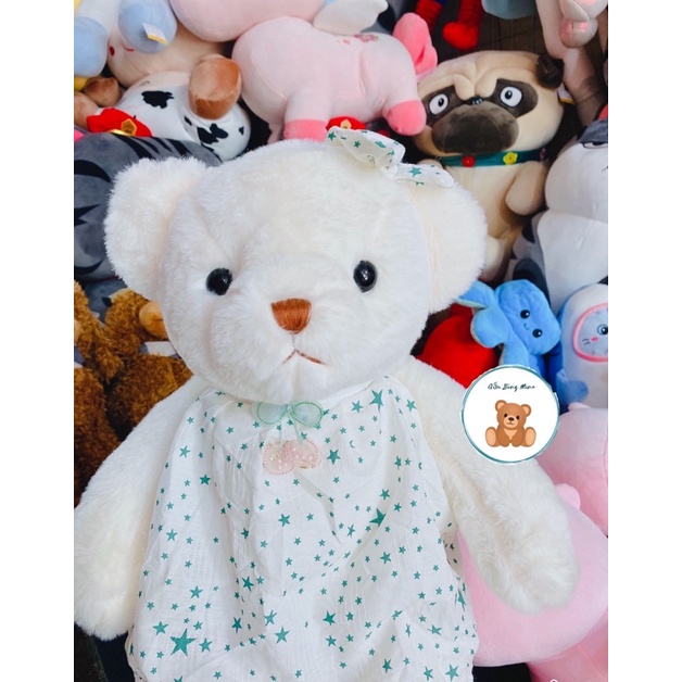 Gấu Bông Teddy Váy Yếm Sao Dễ Thương Cho Bé - Gấu Bông Mina