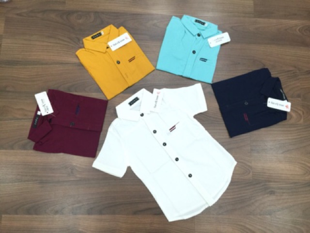 Combo 71: D1-35SP(C-HP) sỉ | BigBuy360 - bigbuy360.vn