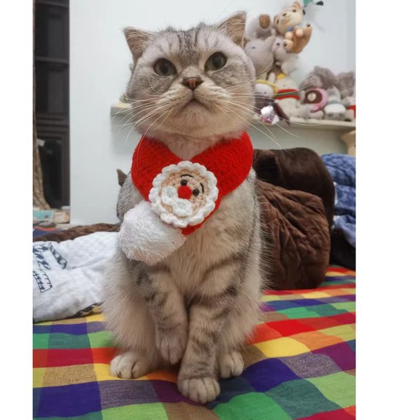 Mũ len và khăn quàng ông già noel và chú tuần lộc xinh xắn đón giáng sinh cho thú cưng
