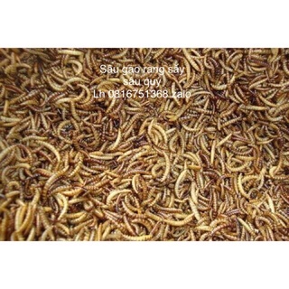 Sâu gạo rang bơ,sâu quy thường