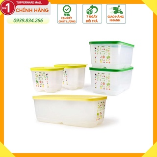 Hộp bảo quản Tupperware 💕Freeship💕Bộ Hộp Trữ Mát cao cấp, có nút hô hấp Venstmart Set 5