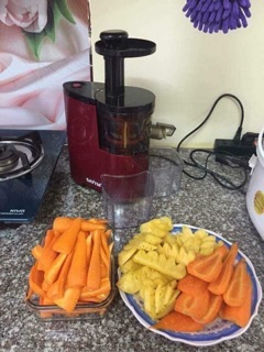 Máy ép chậm savt loại 1