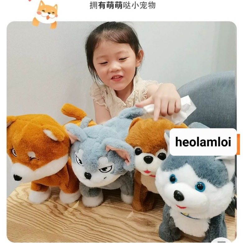 Chó bông Shiba và Husky Ngáo biết hát 120 bài, biết đi, vẫy đuôi, có dây dắt mẫu mới 2022, bự, đẹp